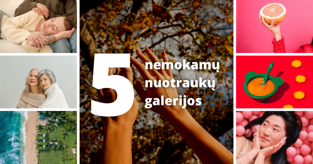 5 geriausios nemokamų nuotraukų galerijos