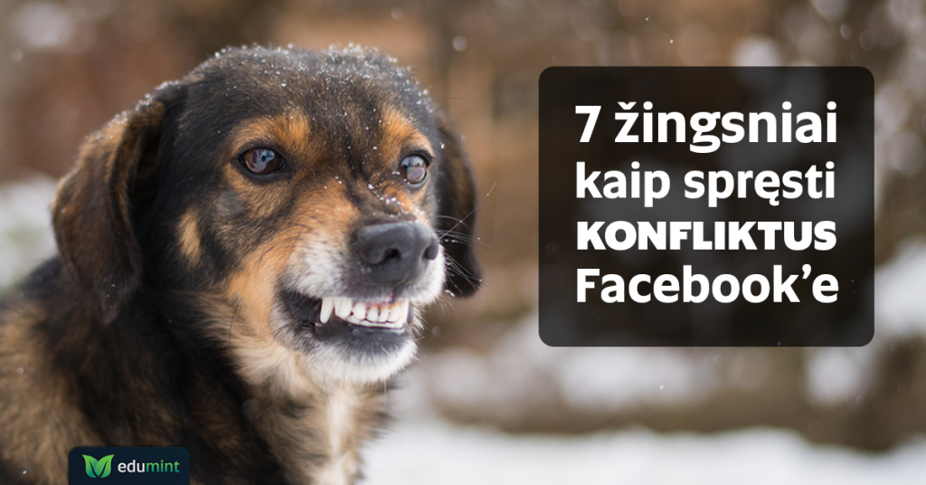 Kaip spręsti konfliktus Facebook'e?